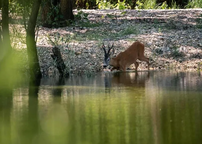 Prázdninový dům In Near Sandy *
